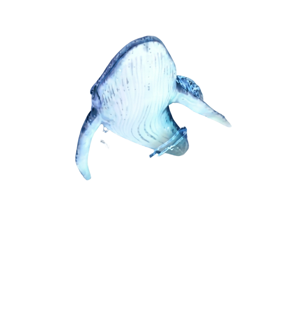 Whale Dive